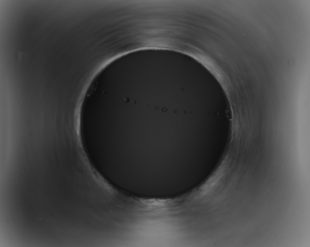 X0000089350862200706291020