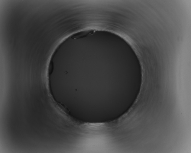X0000089350864200706291020