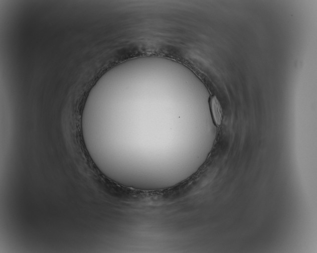 X0000089350865200706291019