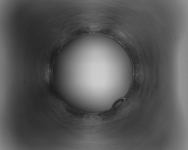 X0000089350866200706291019