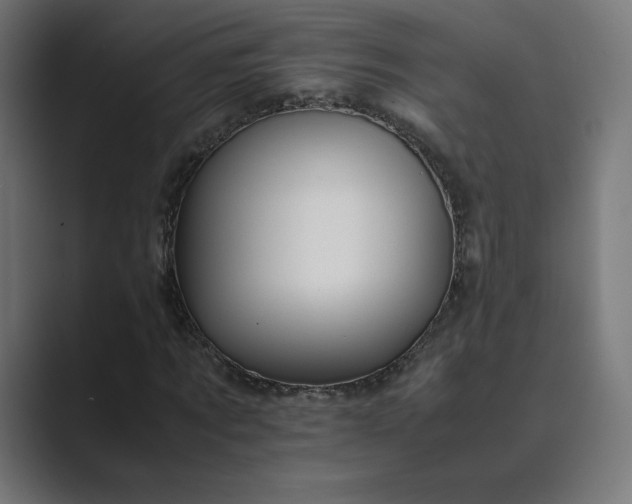 X0000089350869200706291019