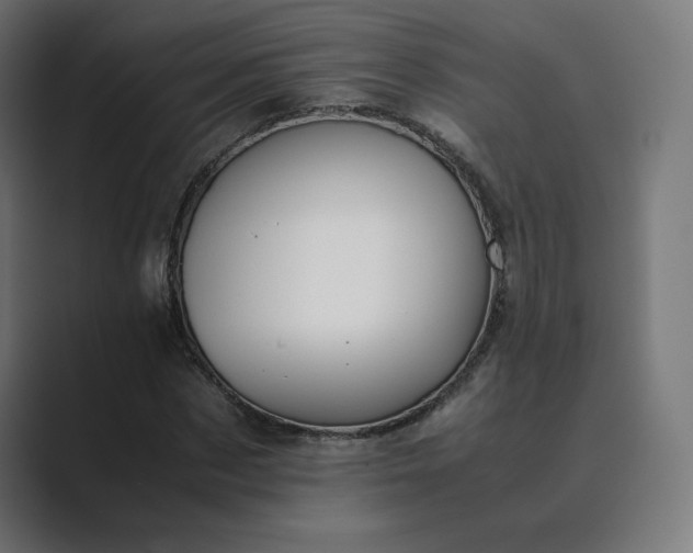 X0000089350873200706291019