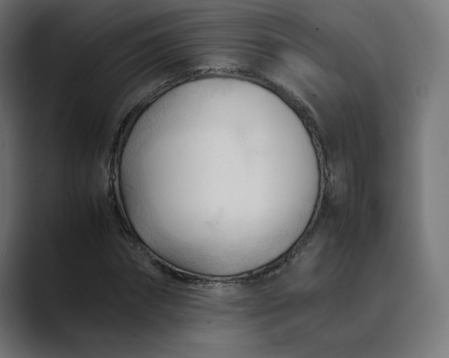 X0000089350874200706291019