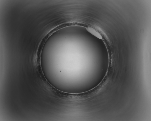 X0000089350876200706291019