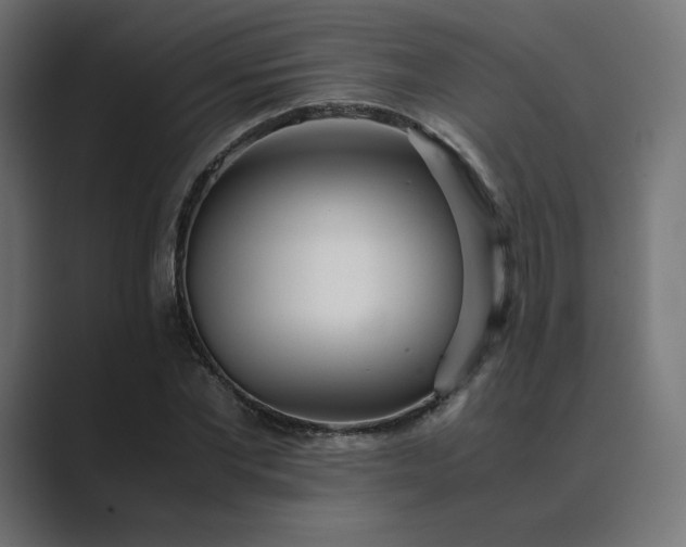 X0000089350877200706291019