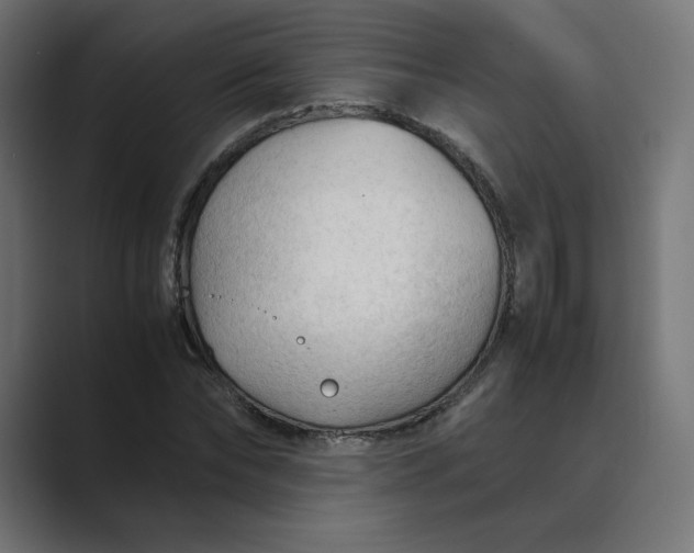 X0000089350878200706291019