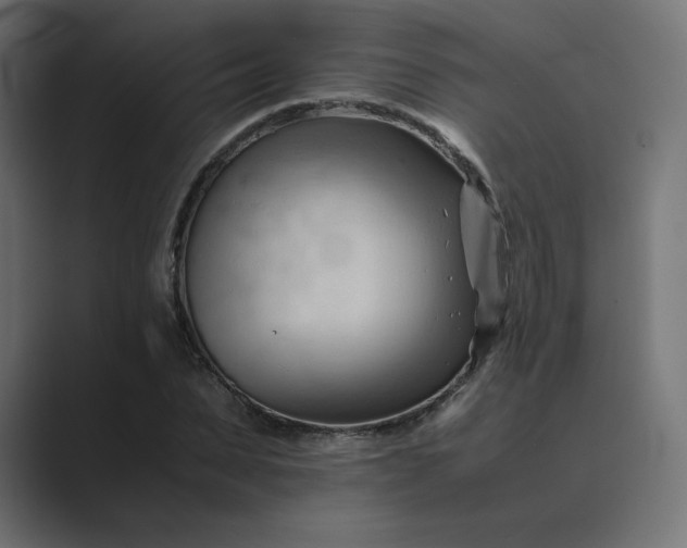 X0000089350879200706291019