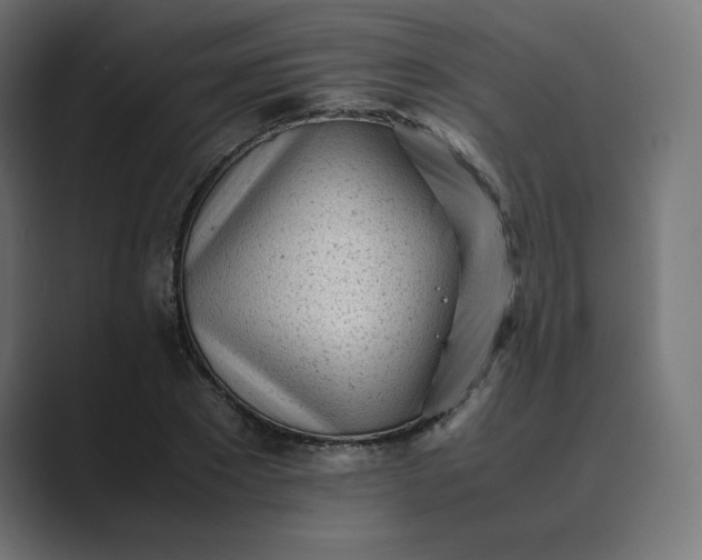 X0000089350881200706291019