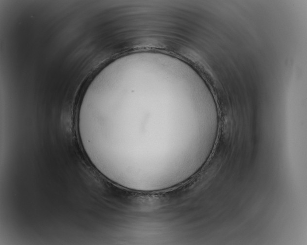 X0000089350882200706291019