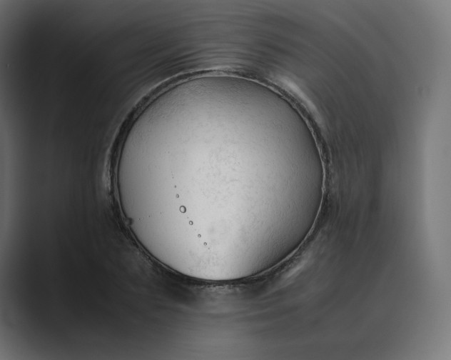 X0000089350883200706291019