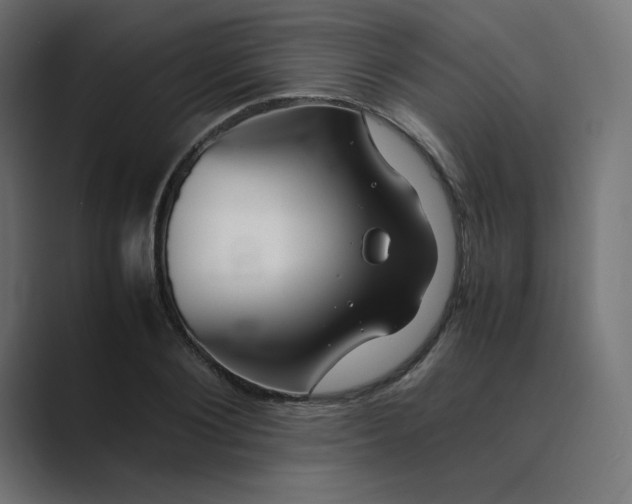 X0000089350884200706291019