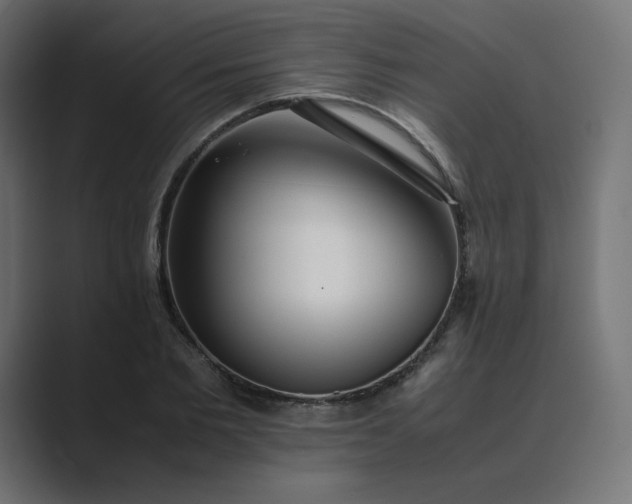 X0000089350885200706291019