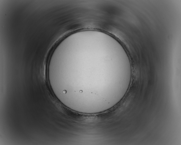 X0000089350886200706291019