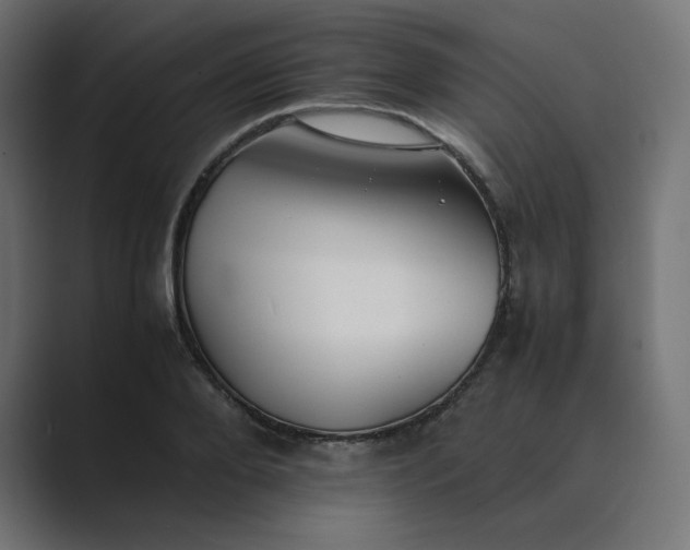 X0000089350888200706291019