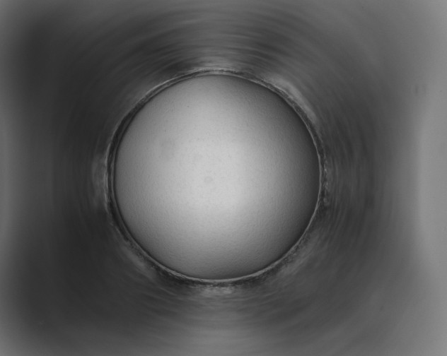 X0000089350890200706291019