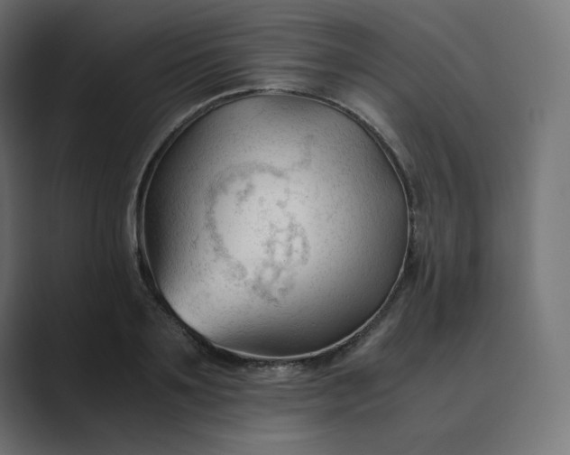 X0000089350891200706291019
