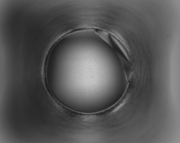 X0000089350893200706291019