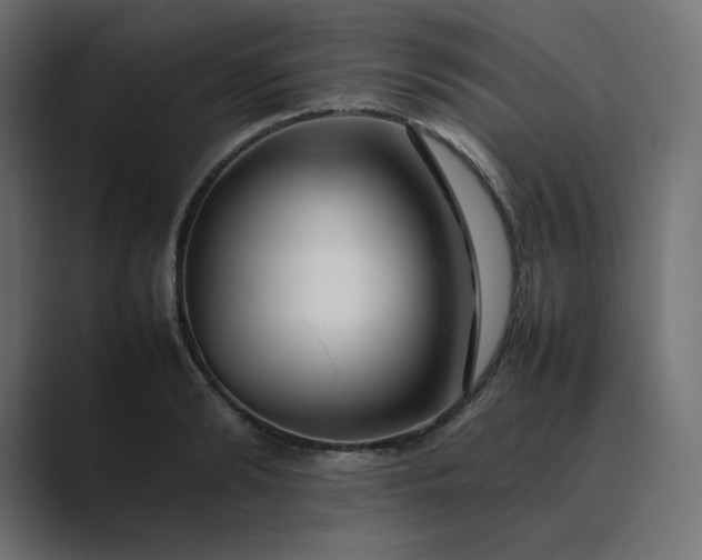 X0000089350894200706291019