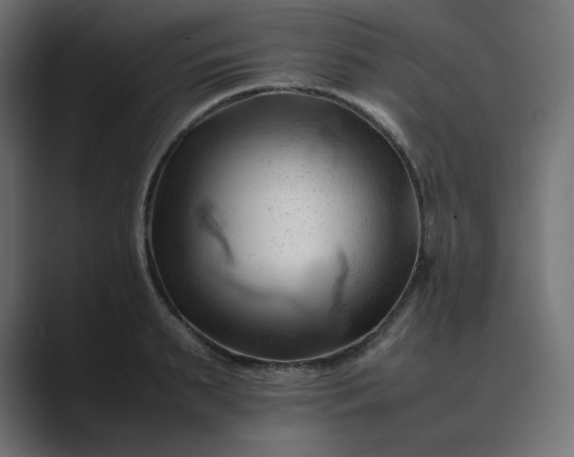 X0000089350895200706291019