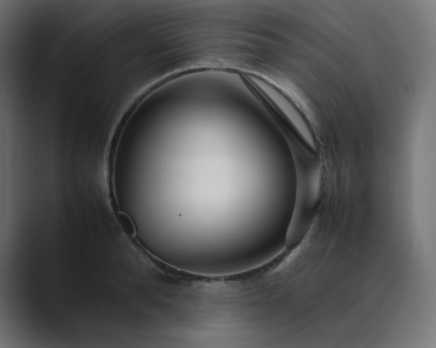 X0000089350896200706291019