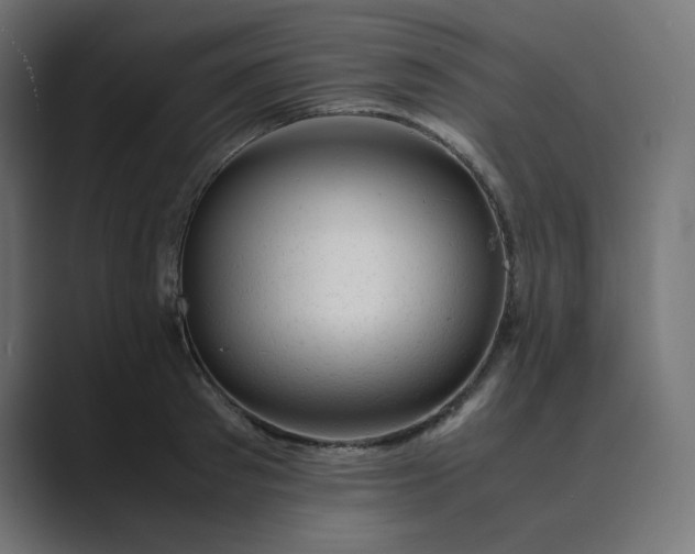 X0000089350897200706291019