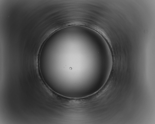 X0000089350898200706291019