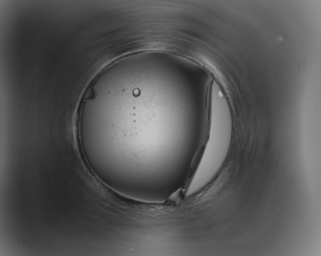 X0000089350899200706291019