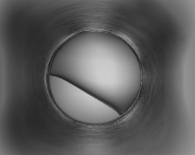 X0000089350901200706291019