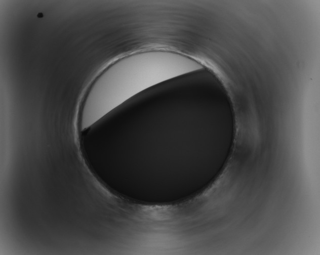 X0000089350902200706291019