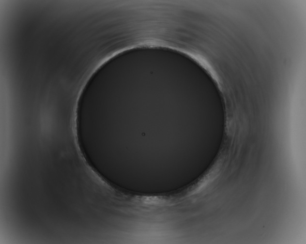 X0000089350903200706291019
