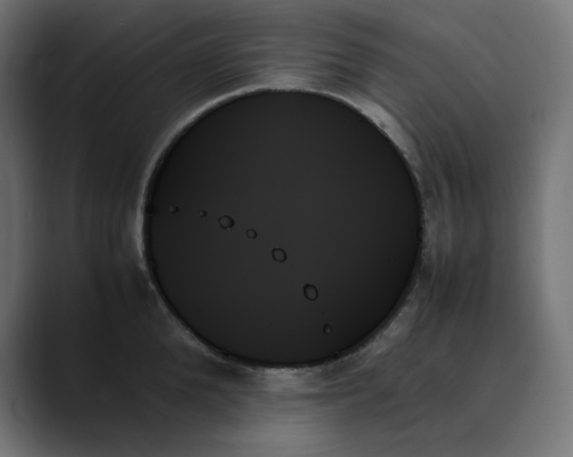 X0000089350904200706291019
