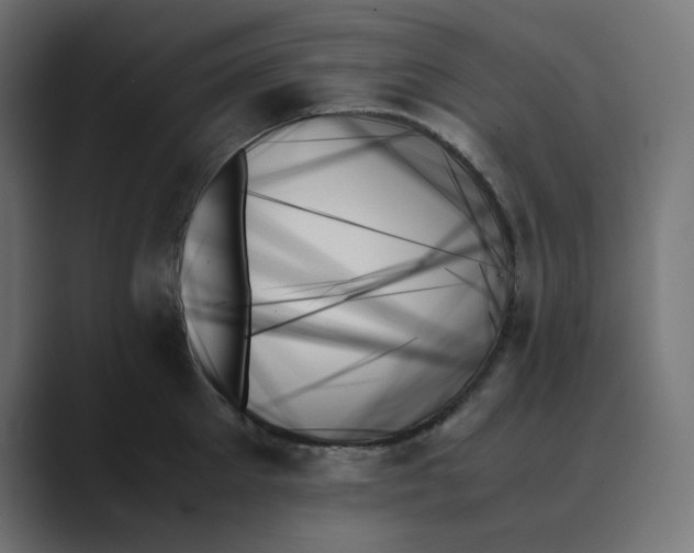 X0000089350905200706291019