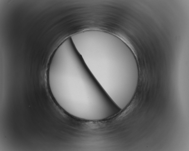 X0000089350906200706291019