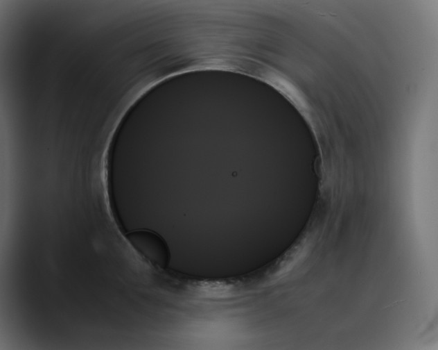 X0000089350907200706291019
