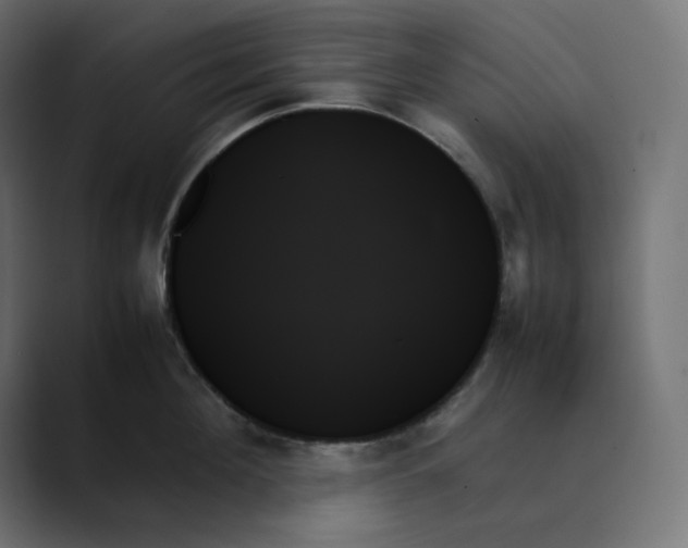 X0000089350908200706291019