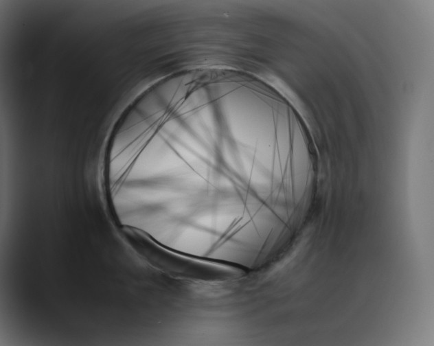 X0000089350909200706291019