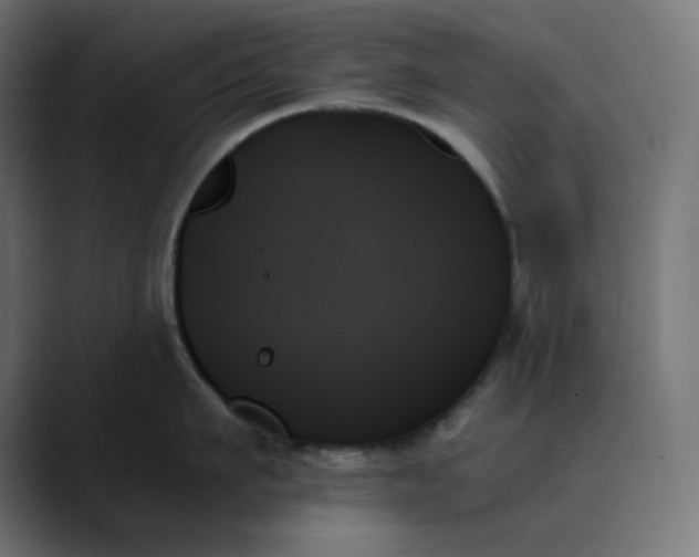 X0000089350911200706291019