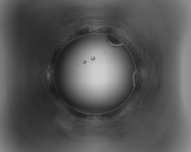 X0000089350914200706291018