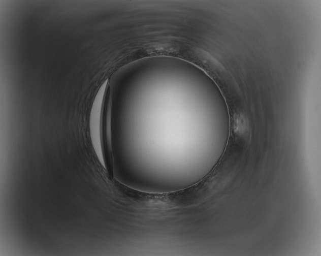 X0000089350915200706291018