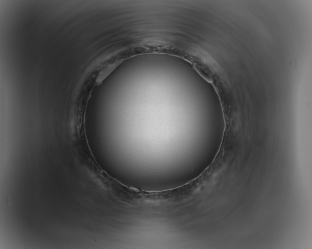 X0000089350920200706291018