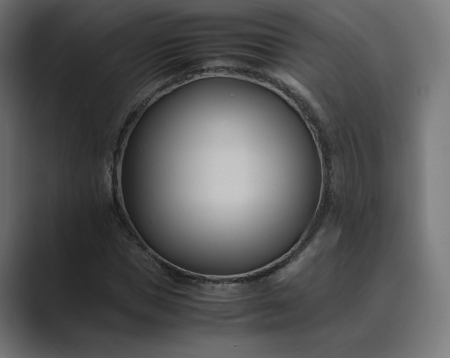 X0000089350921200706291018