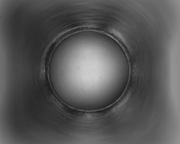 X0000089350923200706291018