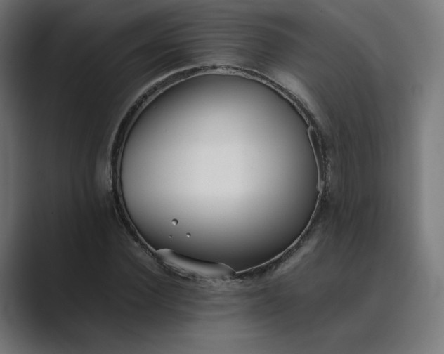 X0000089350924200706291018