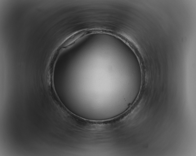 X0000089350925200706291018