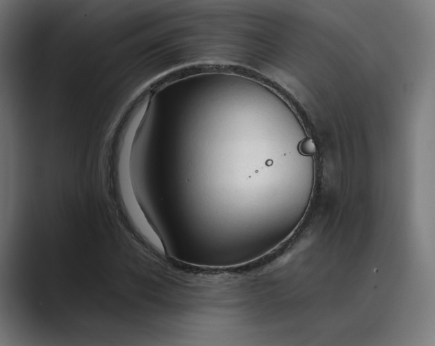 X0000089350926200706291018