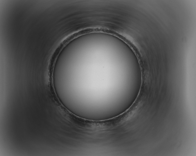 X0000089350927200706291018