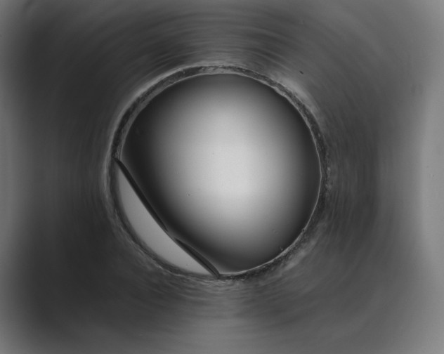 X0000089350928200706291018