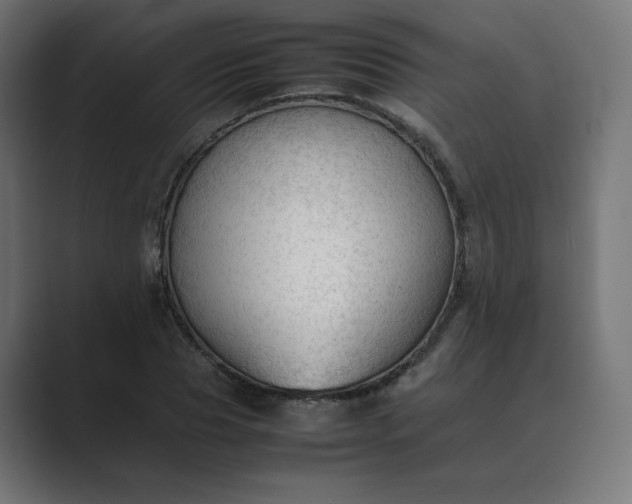 X0000089350929200706291018