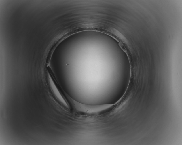 X0000089350930200706291018