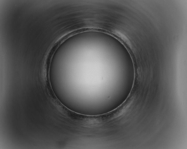 X0000089350931200706291018